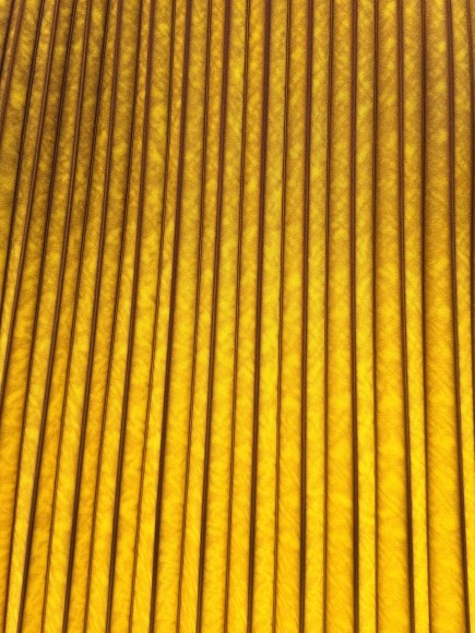 Гофре Габардин желтый прокрас ягодный Гофре Габардин желтый прокрас ягодный