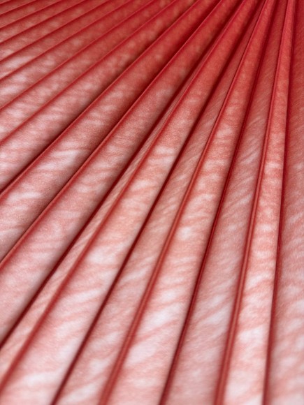 Гофре Плательная белый прокрас красный Гофре Плательная белый прокрас красный