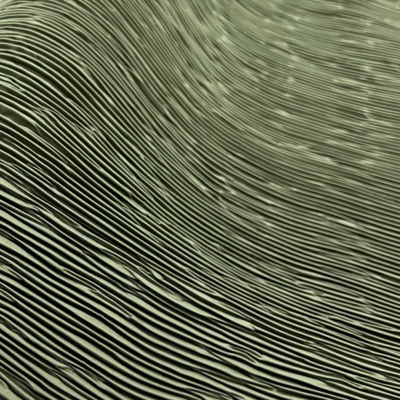 Складка Жатка Армани шалфейный Складка Жатка Армани шалфейный